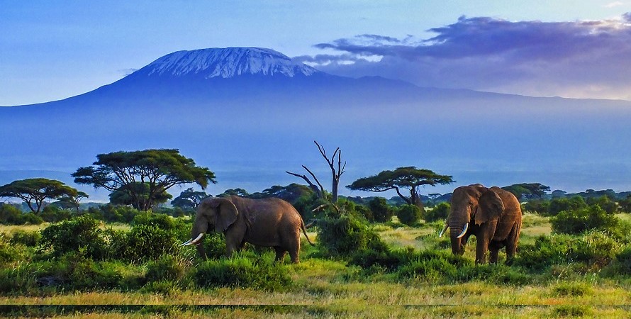 3 Day Amboseli Tsavo West Safari